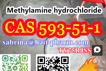 8615355326496 Methylamine hydrochloride CAS 593511